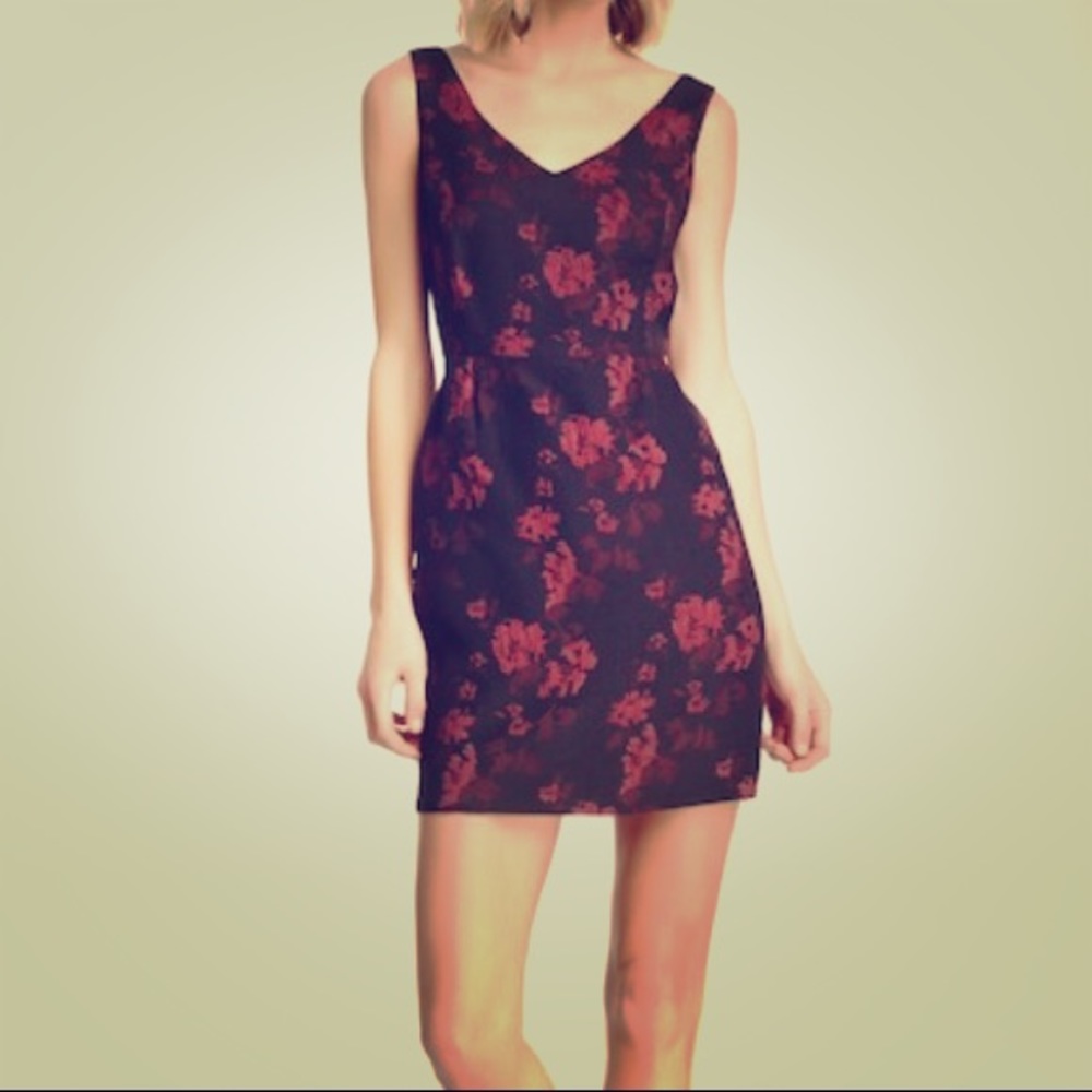 Adorable mini dress NWT